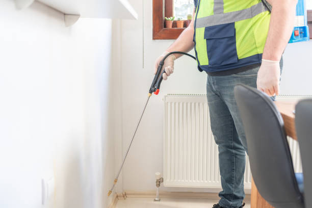 Best Termite Control Services  in Panhandle, TX
